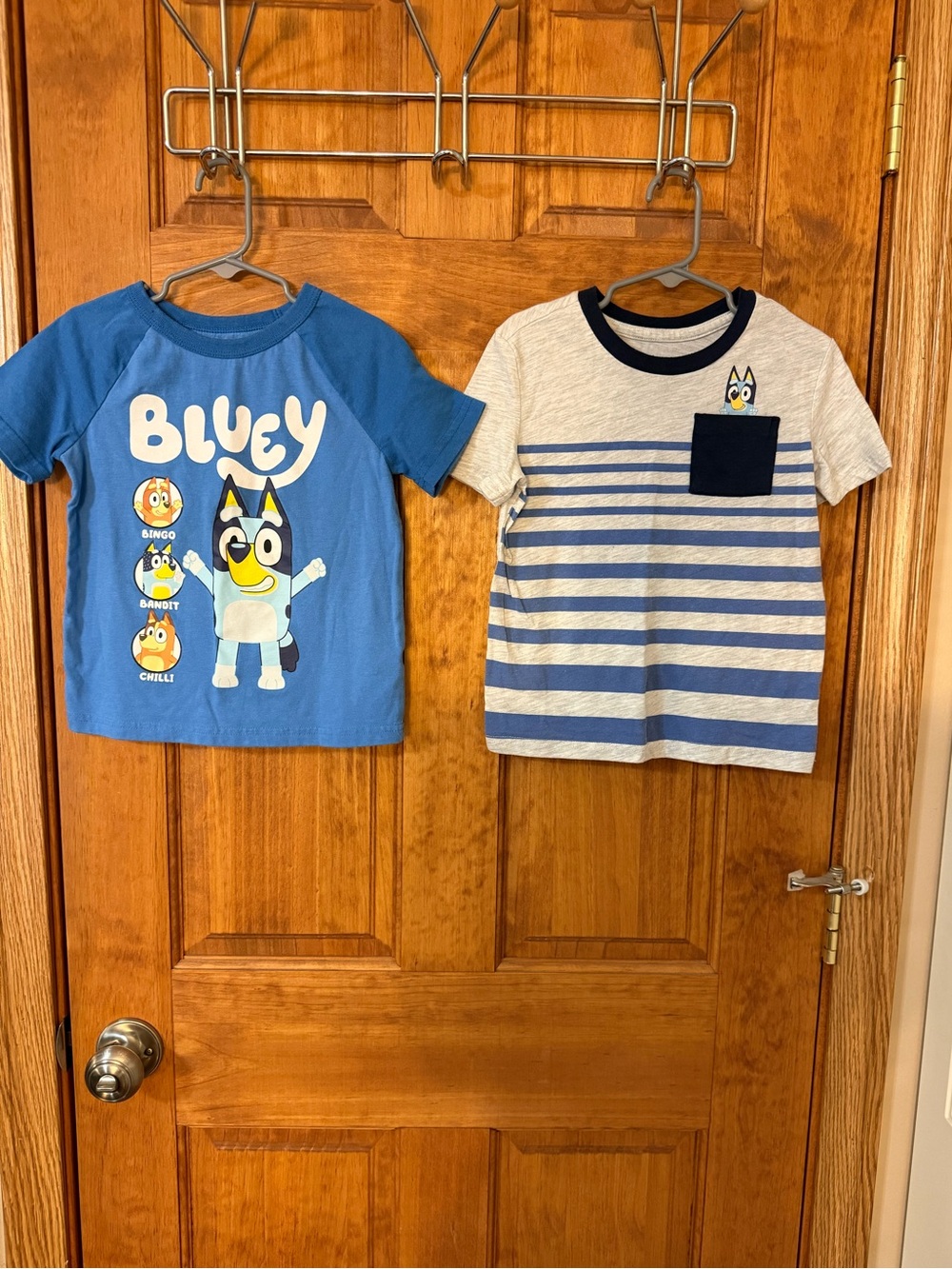 Bluey short sleeved tees
